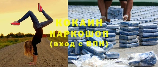 сатива Алзамай