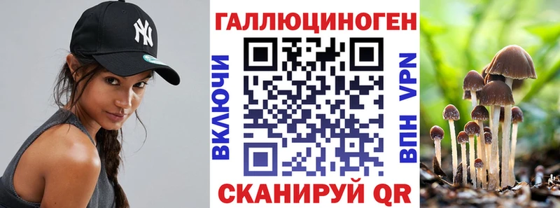 Псилоцибиновые грибы Psilocybe  Кашин 